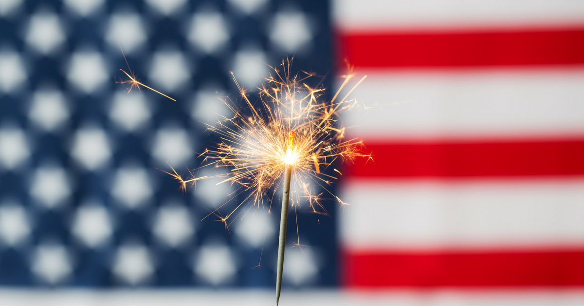 Read more about the article Fireworks Safety 101