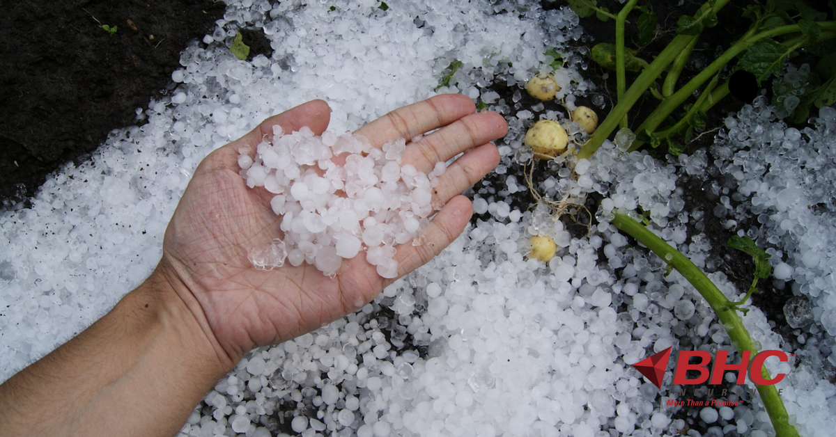 Read more about the article PROTECTING AGAINST HAIL DAMAGE