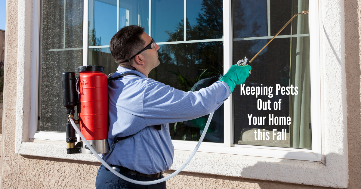 Read more about the article Keeping Pests Out of Your Home this Fall